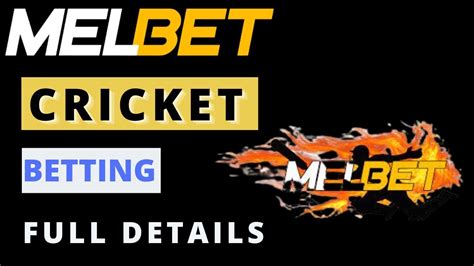 Melbet Cricket Betting .